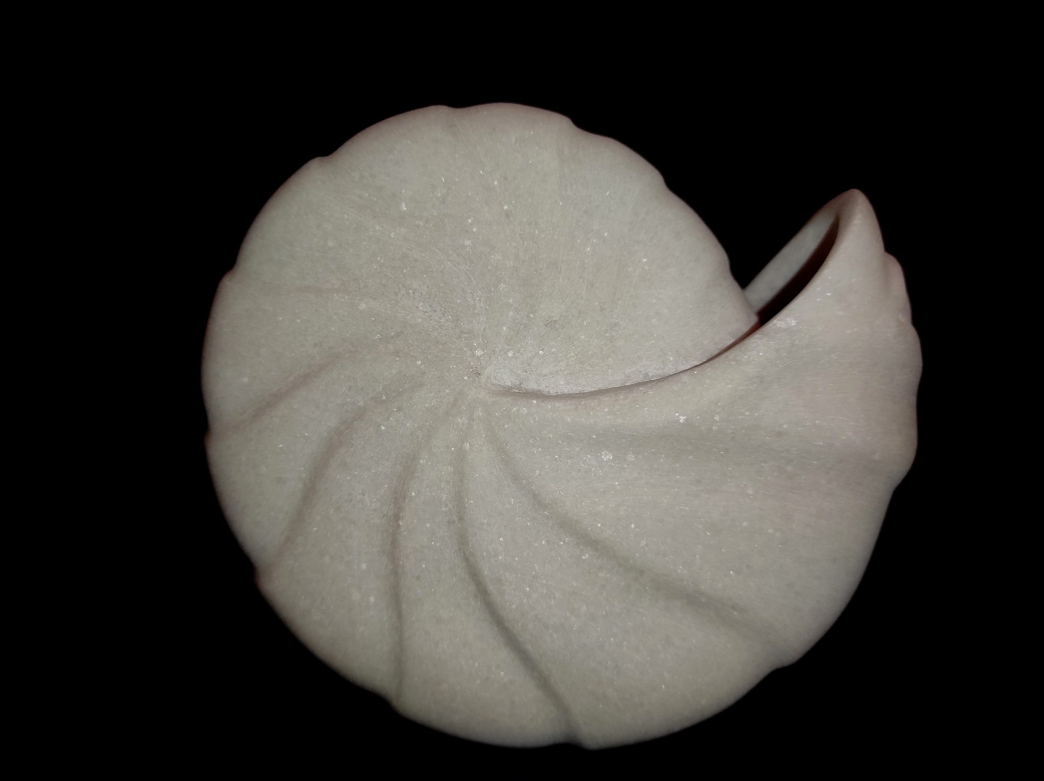 parnis nautilus